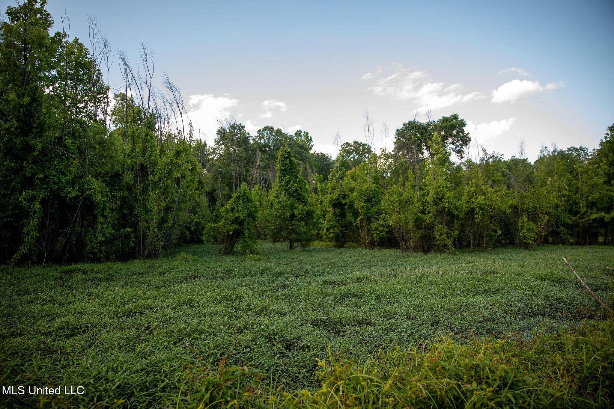 11490 Vaughan Road, Vaughan, Mississippi image 48
