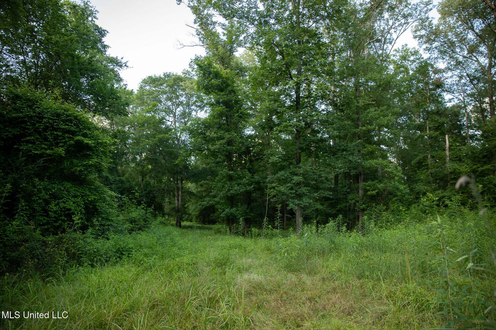 11490 Vaughan Road, Vaughan, Mississippi image 45