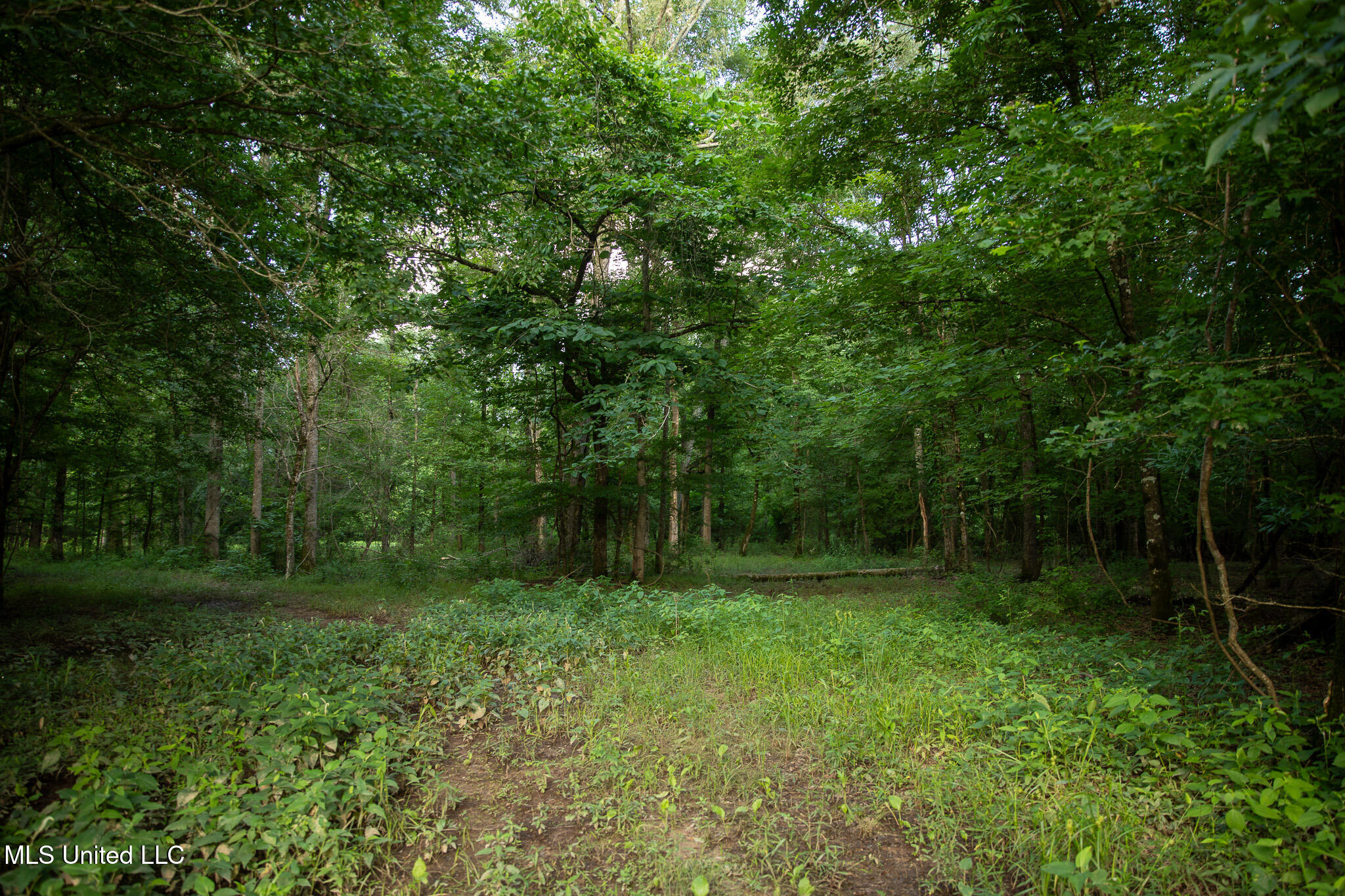 11490 Vaughan Road, Vaughan, Mississippi image 46