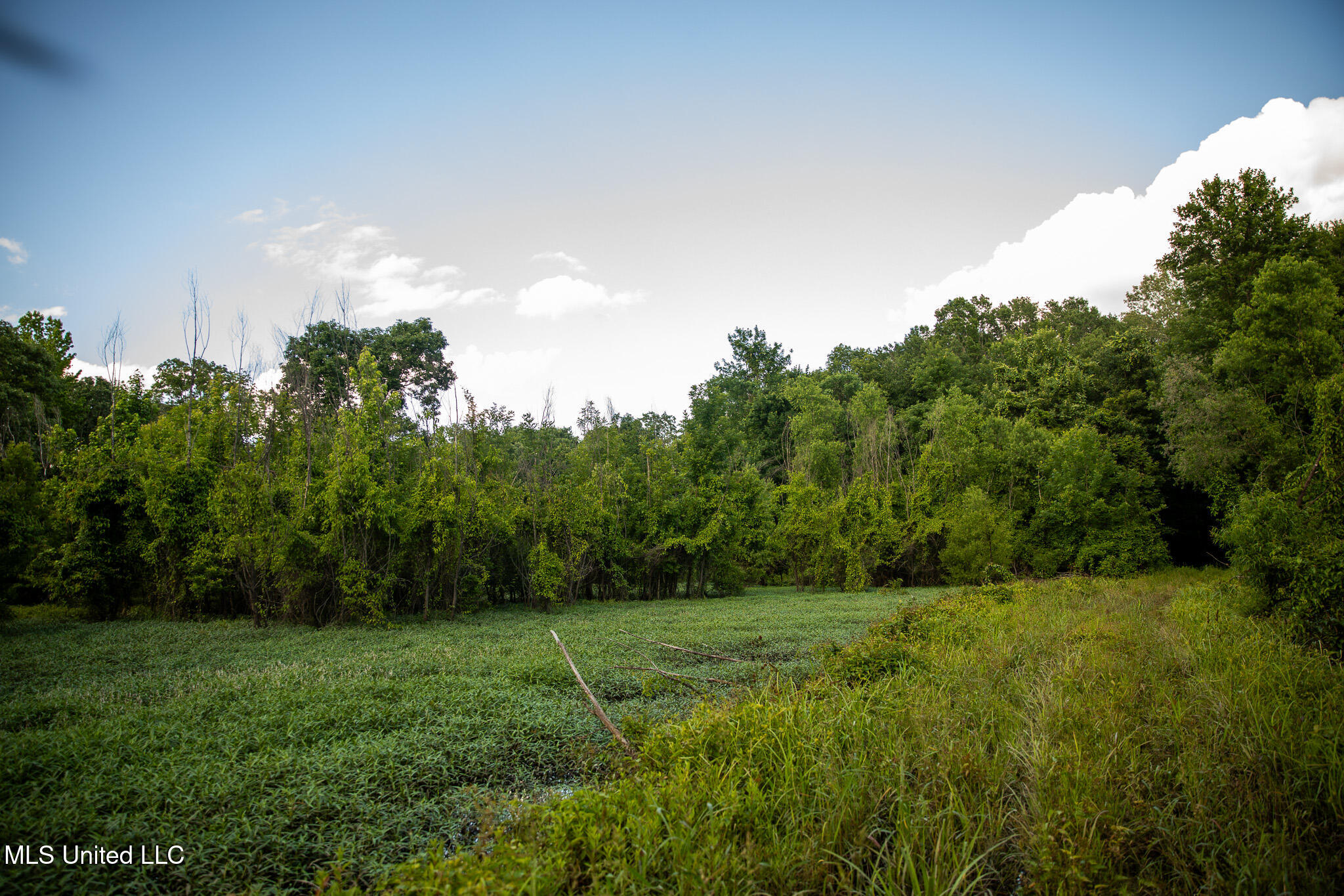 11490 Vaughan Road, Vaughan, Mississippi image 47