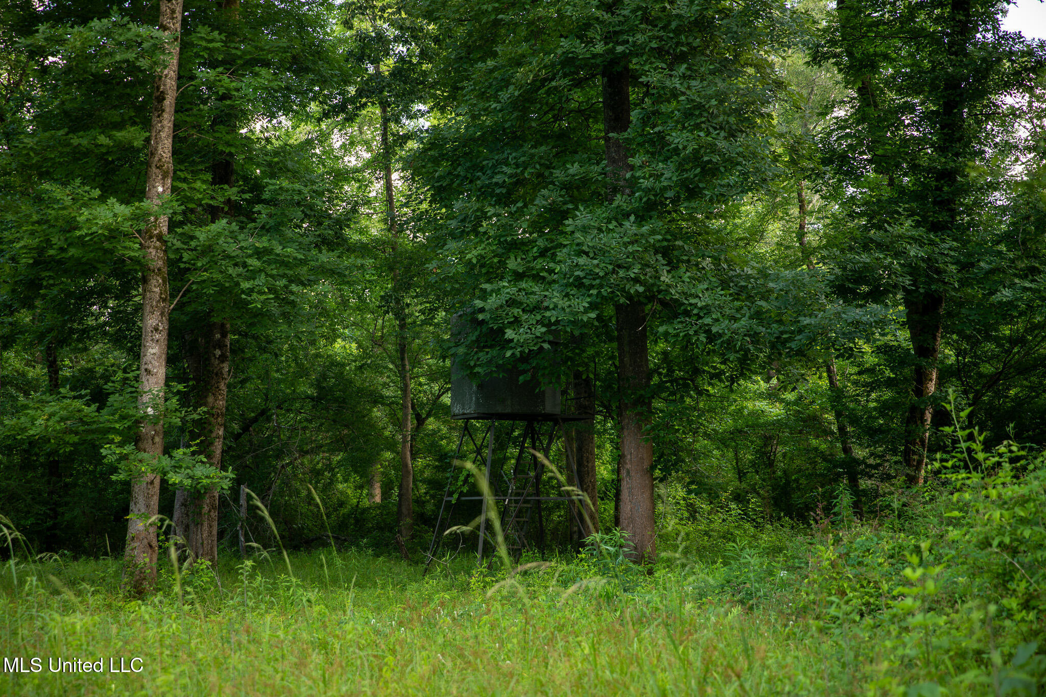 11490 Vaughan Road, Vaughan, Mississippi image 35