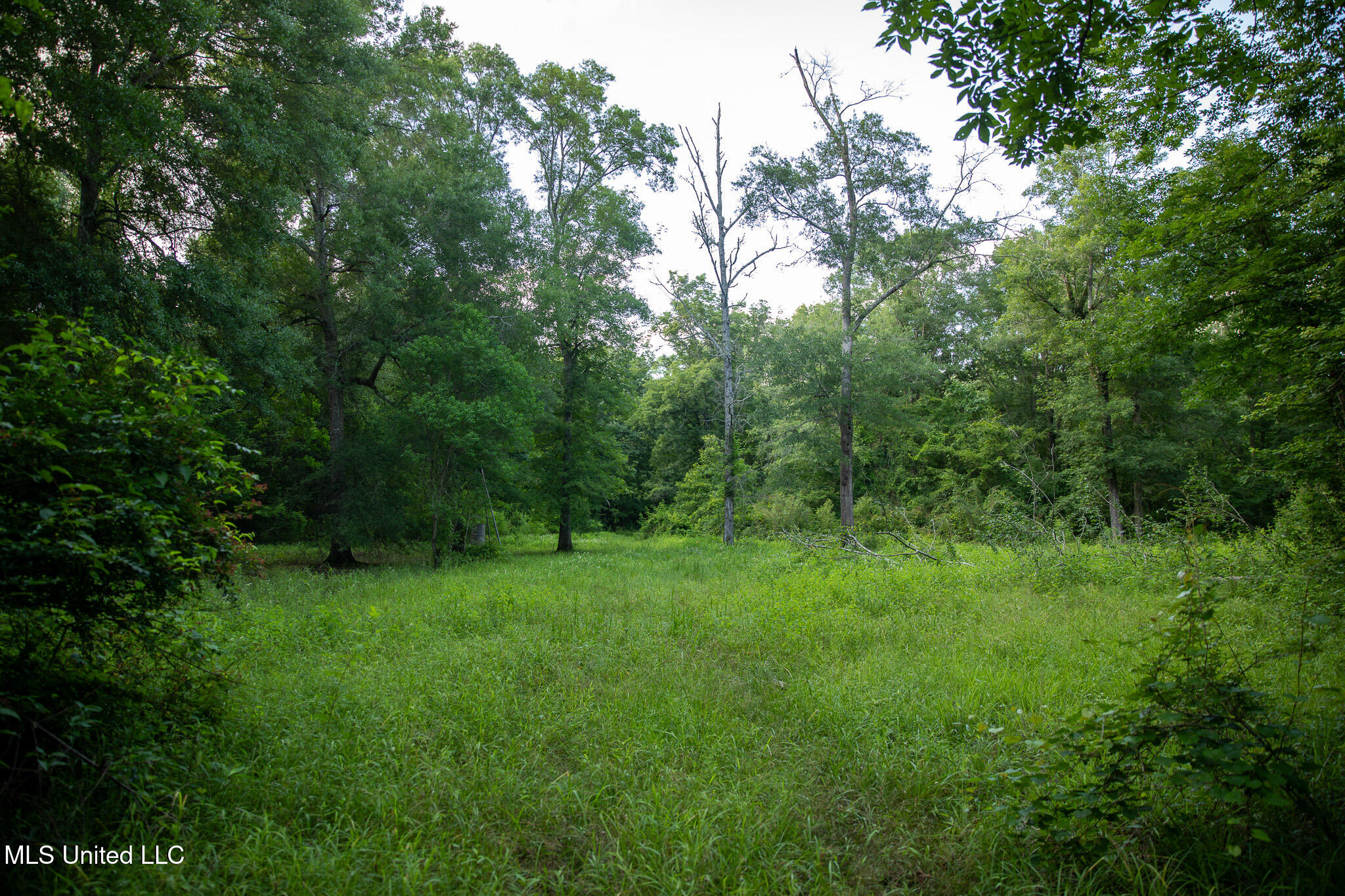 11490 Vaughan Road, Vaughan, Mississippi image 41
