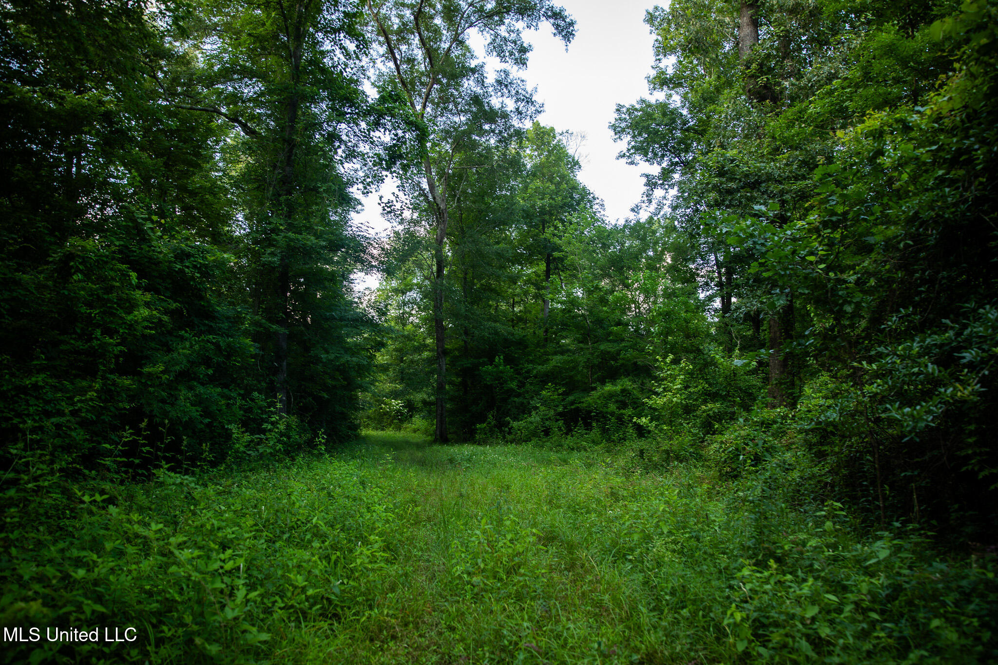 11490 Vaughan Road, Vaughan, Mississippi image 43