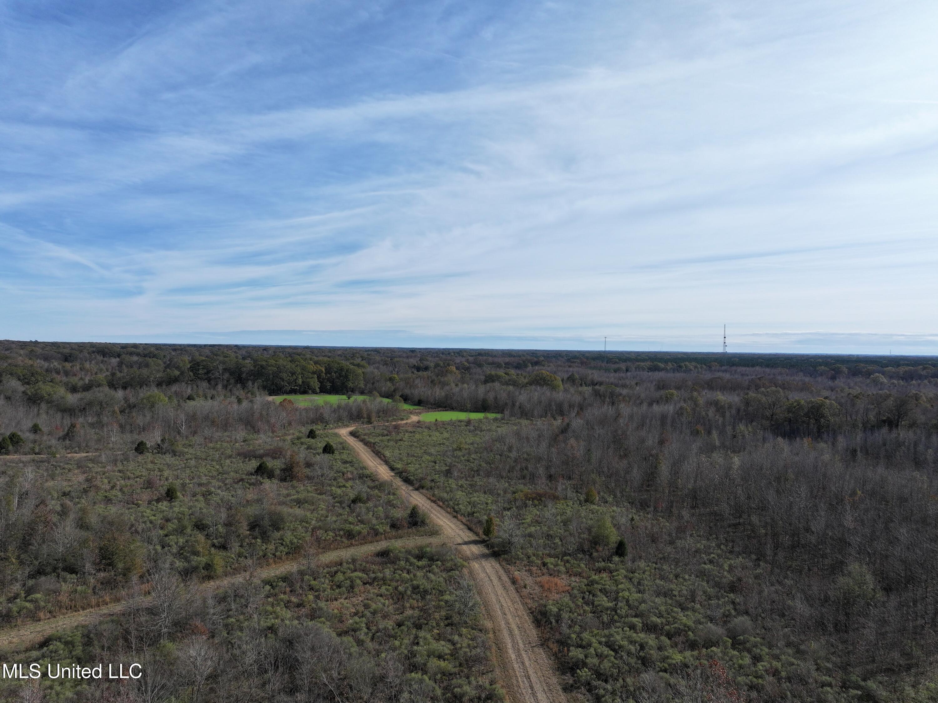 1066 Old Yazoo City Road, Canton, Mississippi image 7