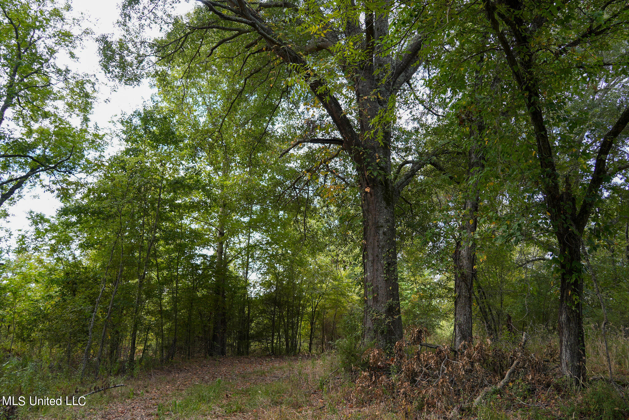 1066 Old Yazoo City Road, Canton, Mississippi image 33