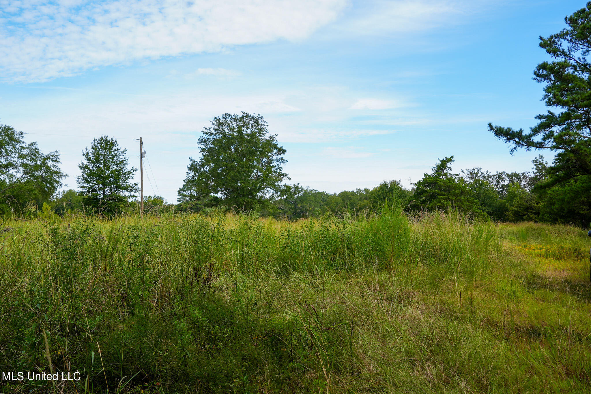 1066 Old Yazoo City Road, Canton, Mississippi image 28