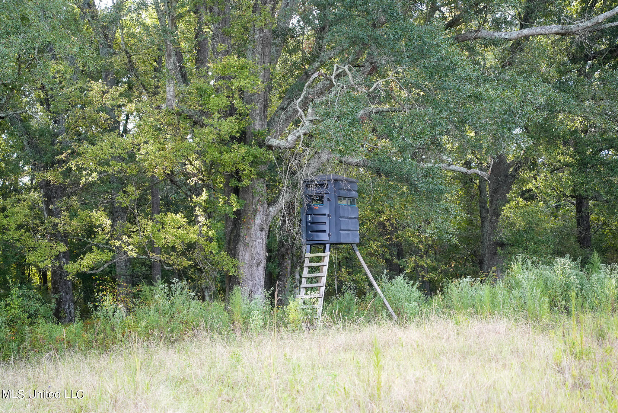 1066 Old Yazoo City Road, Canton, Mississippi image 9