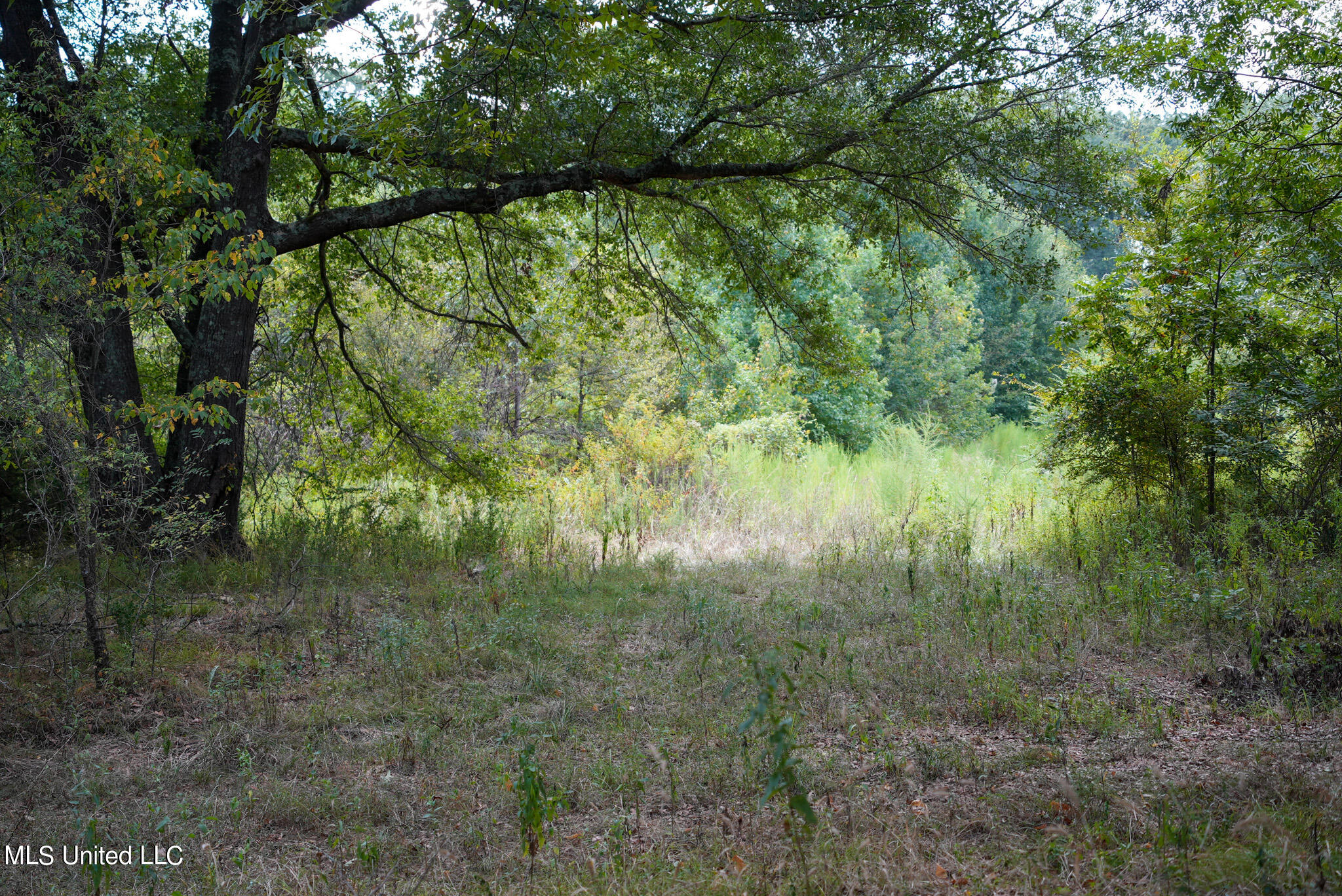 1066 Old Yazoo City Road, Canton, Mississippi image 10