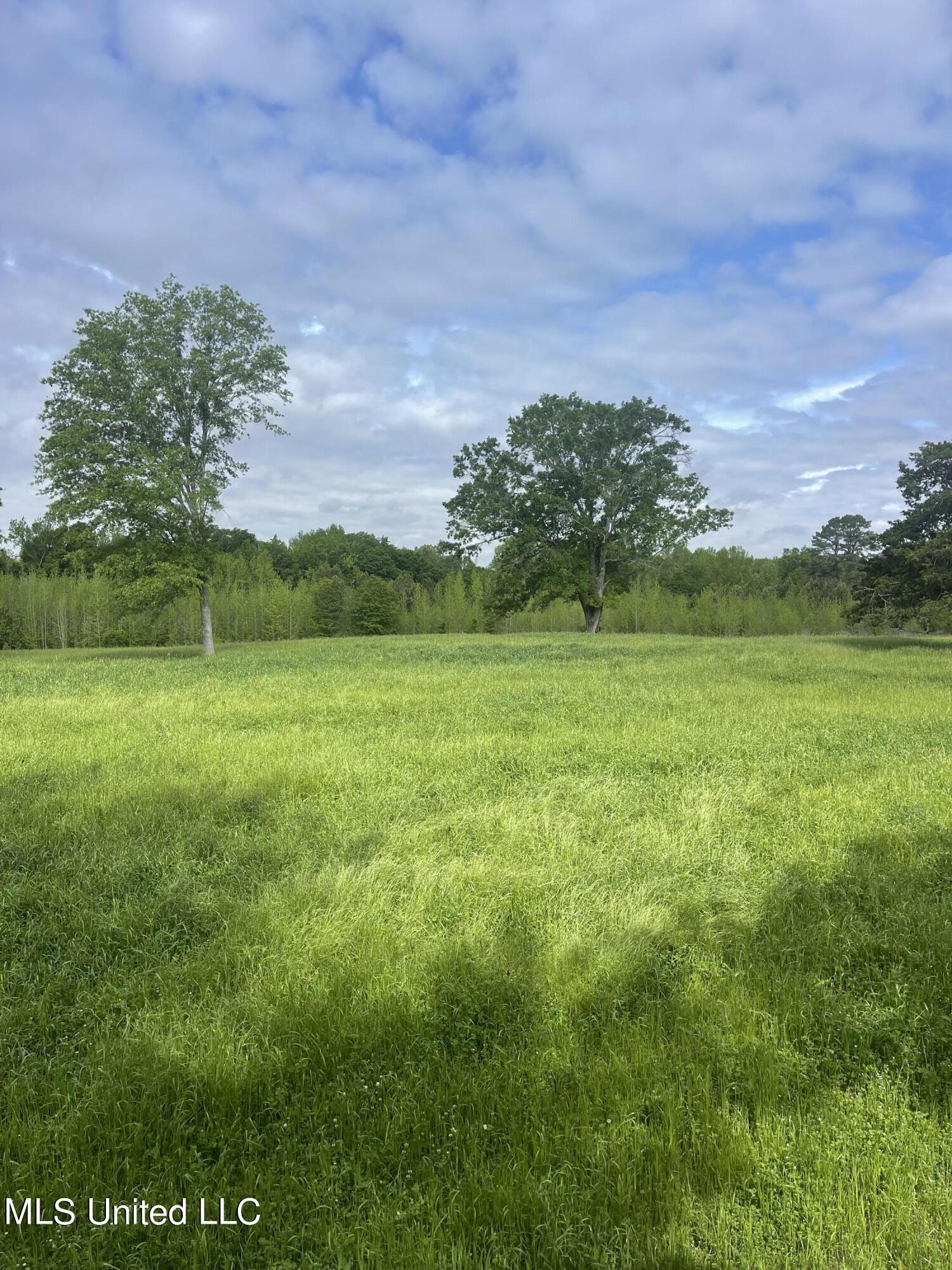 1066 Old Yazoo City Road, Canton, Mississippi image 47