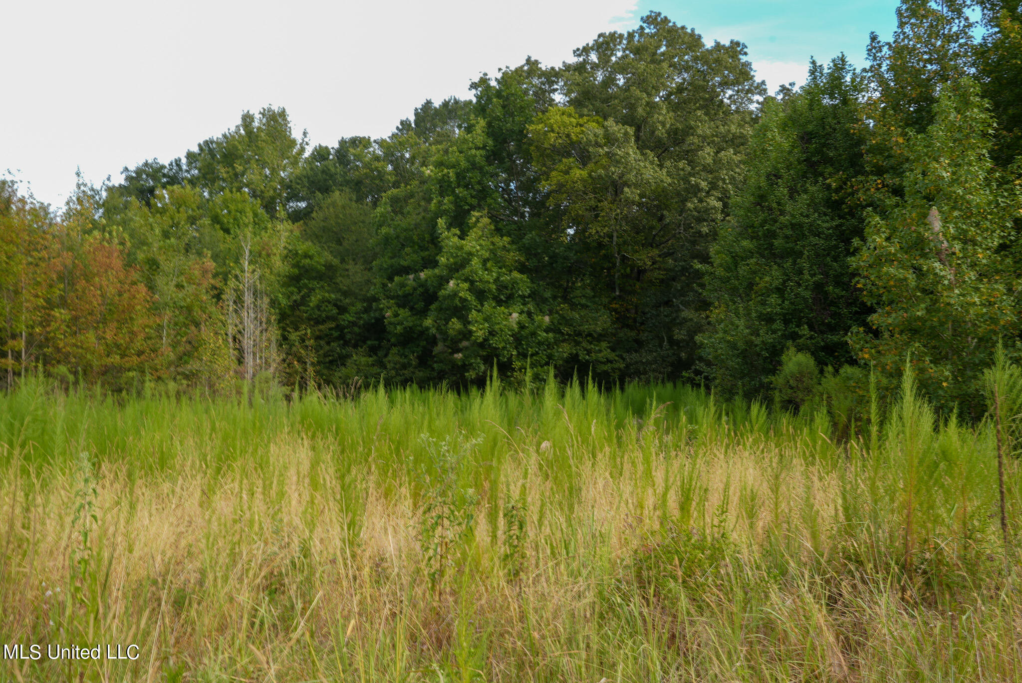 1066 Old Yazoo City Road, Canton, Mississippi image 15