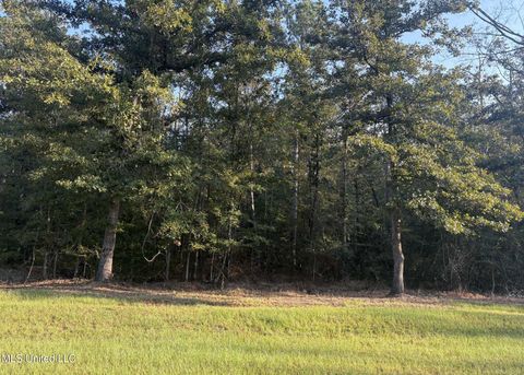 Vacant Land For Sale - 00 Friendship Circle<br/> Forest, MS 39074