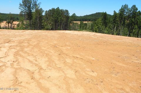 Vacant Land For Sale - 101 Hugh White State Park Road<br/> Grenada, MS 38901