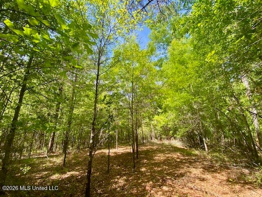 W SMITH FERRY RD, SONTAG, MS 39665 - Image 7ebc24a376029d4e9846bc76fe400cde/2894104942