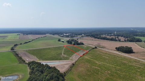 Vacant Land For Sale - Midway Road<br/> Lena, MS 39094