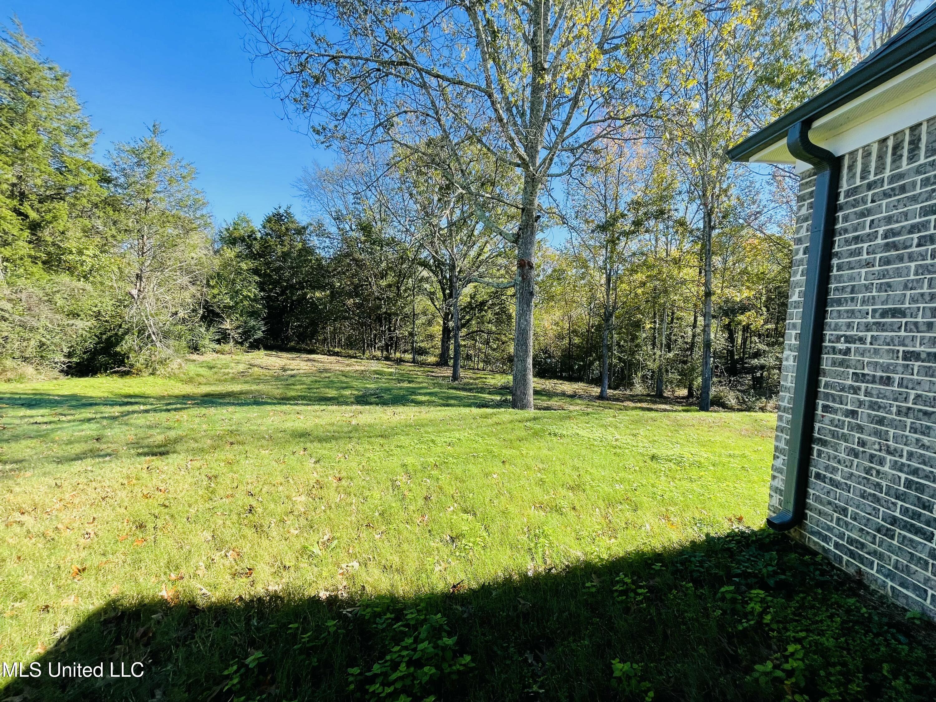 188 E Byhalia Creek Farms Road, Byhalia, Mississippi image 45