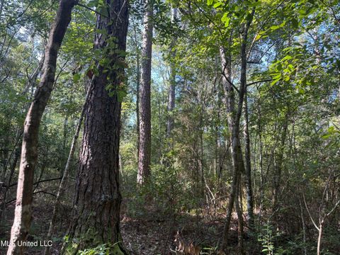 Vacant Land For Sale - Washam Road<br/> Lucedale, MS 39452