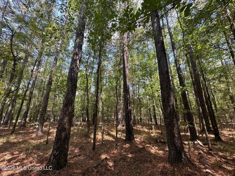 Vacant Land For Sale - 7 Forest Service Road 562<br/> Scott County, Pulaski, MS 39152