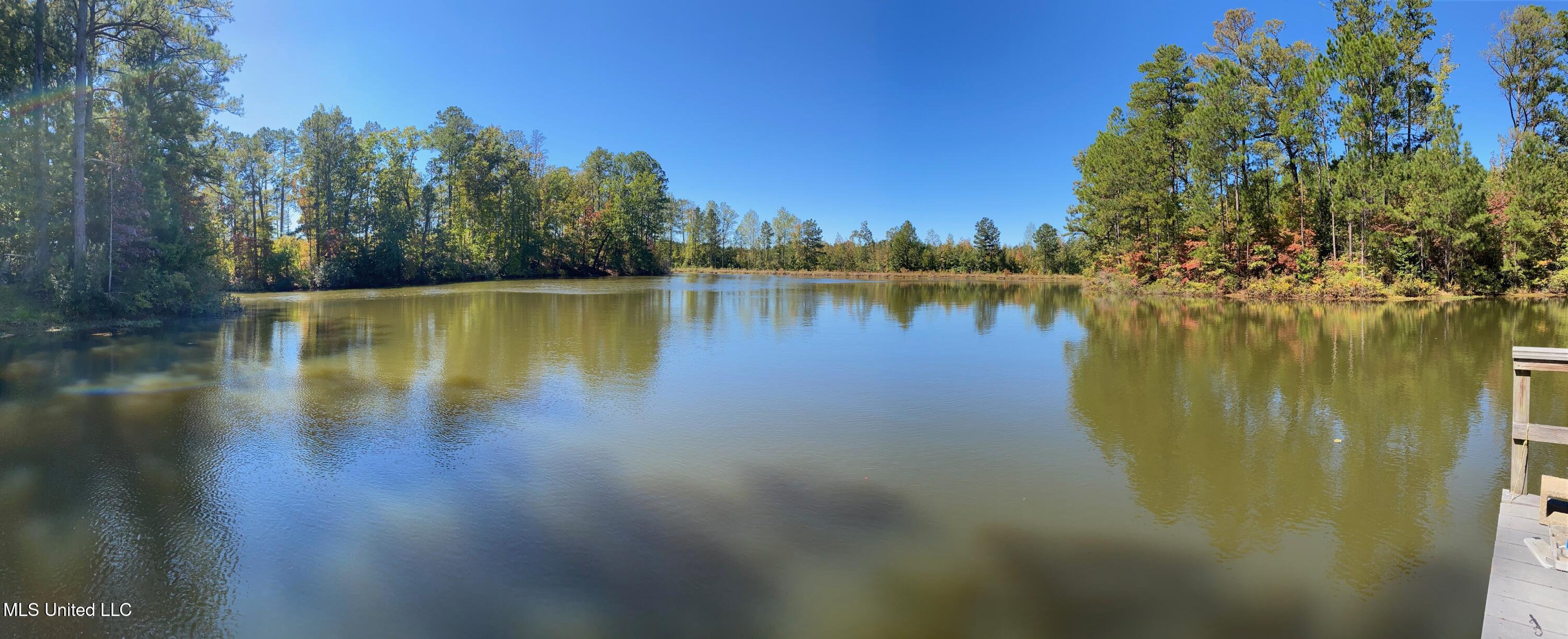 York Road Road, Lauderdale, Mississippi image 8