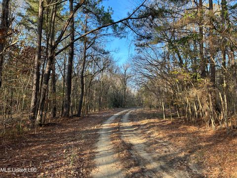 Vacant Land For Sale - Perry Creek Road<br/> Yazoo City, MS 39194