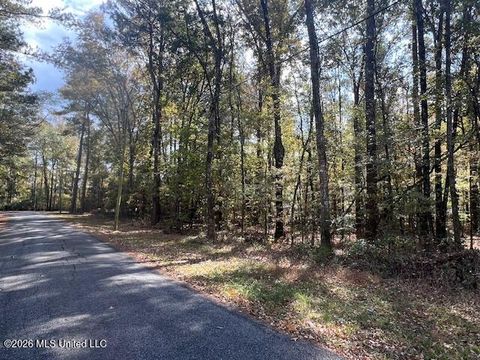 Vacant Land For Sale - Pelahatchie Road<br/> Pelahatchie, MS 39145