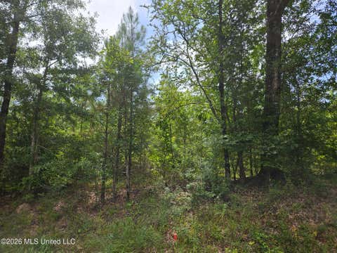Vacant Land For Sale - Log Cabin Rd Road<br/> Roxie, MS 39661