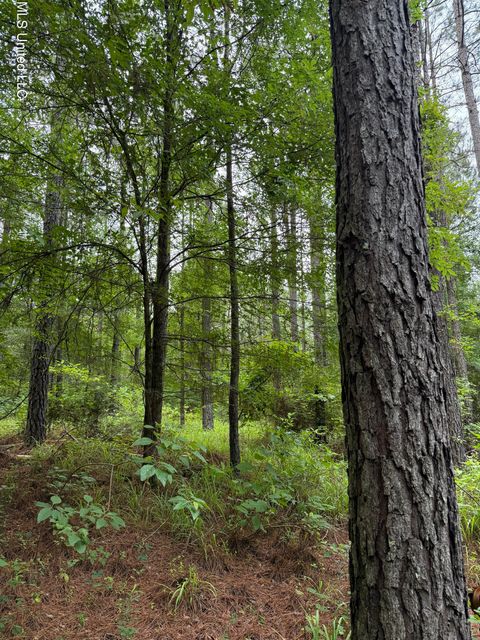 Vacant Land For Sale - Lake Road<br/> Montgomery County, Duck Hill, MS 38925