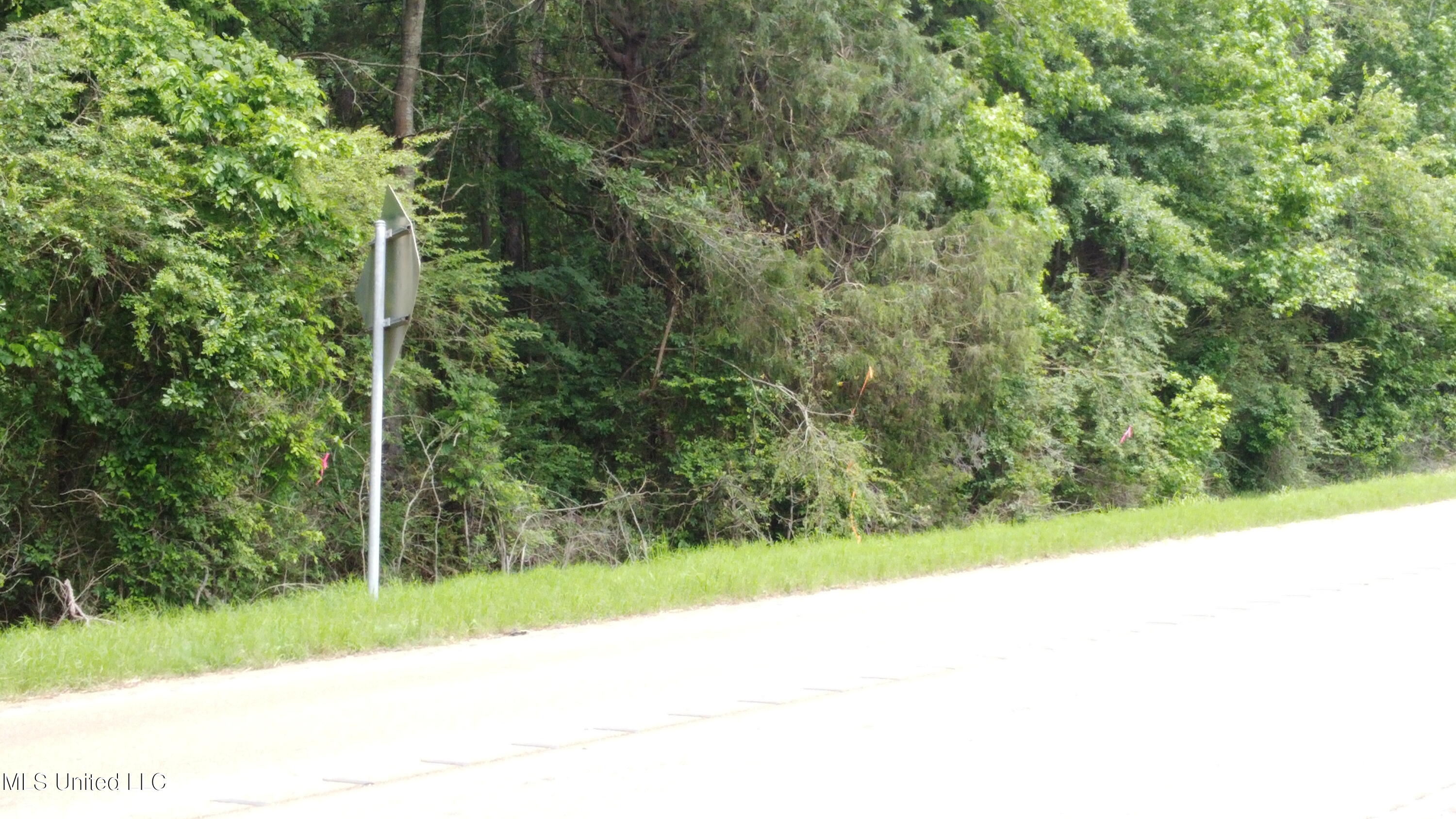 Highway 4 E, Senatobia, Mississippi image 6