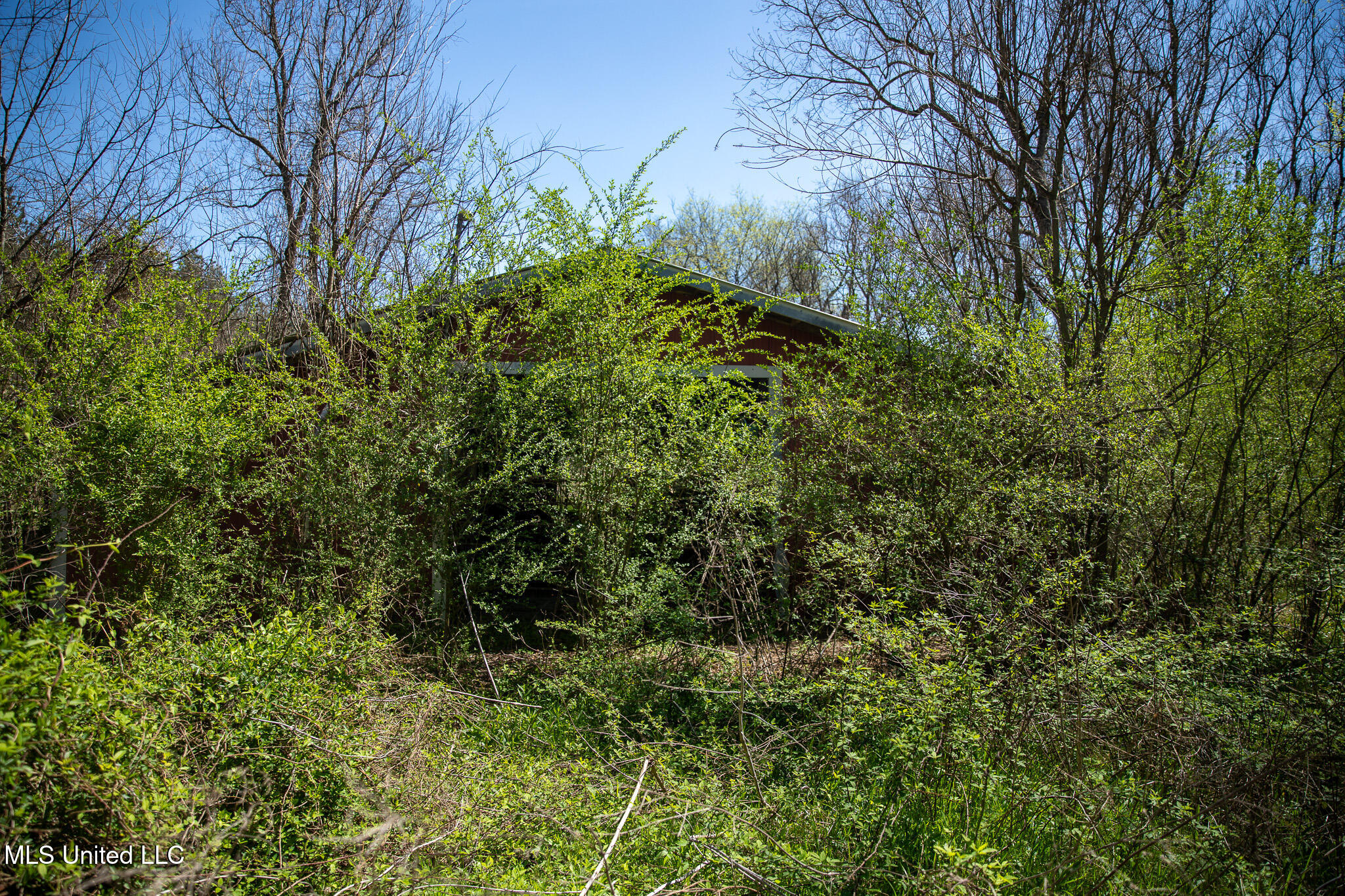 Townsend, Forest, Mississippi image 23