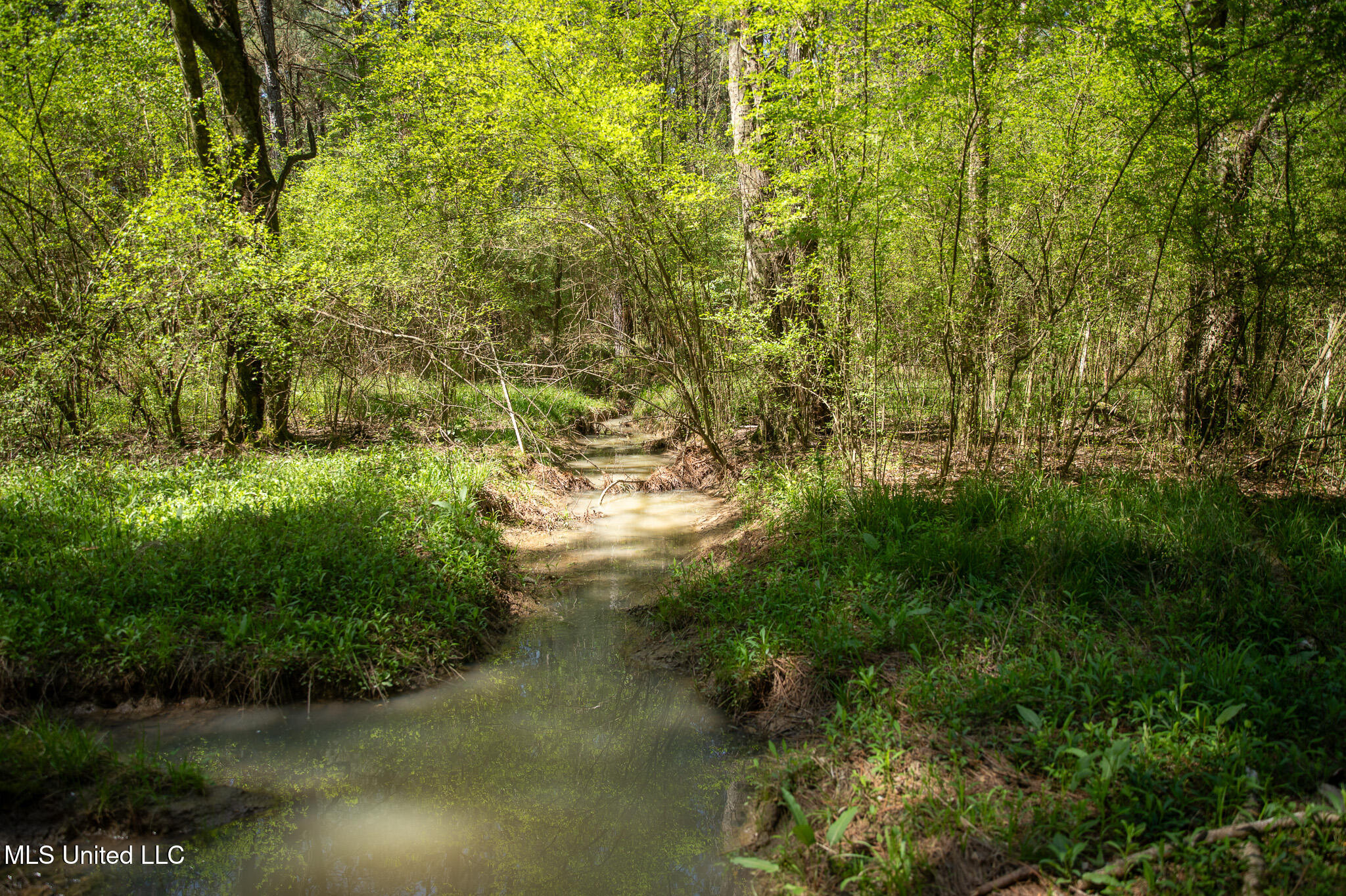Townsend, Forest, Mississippi image 30