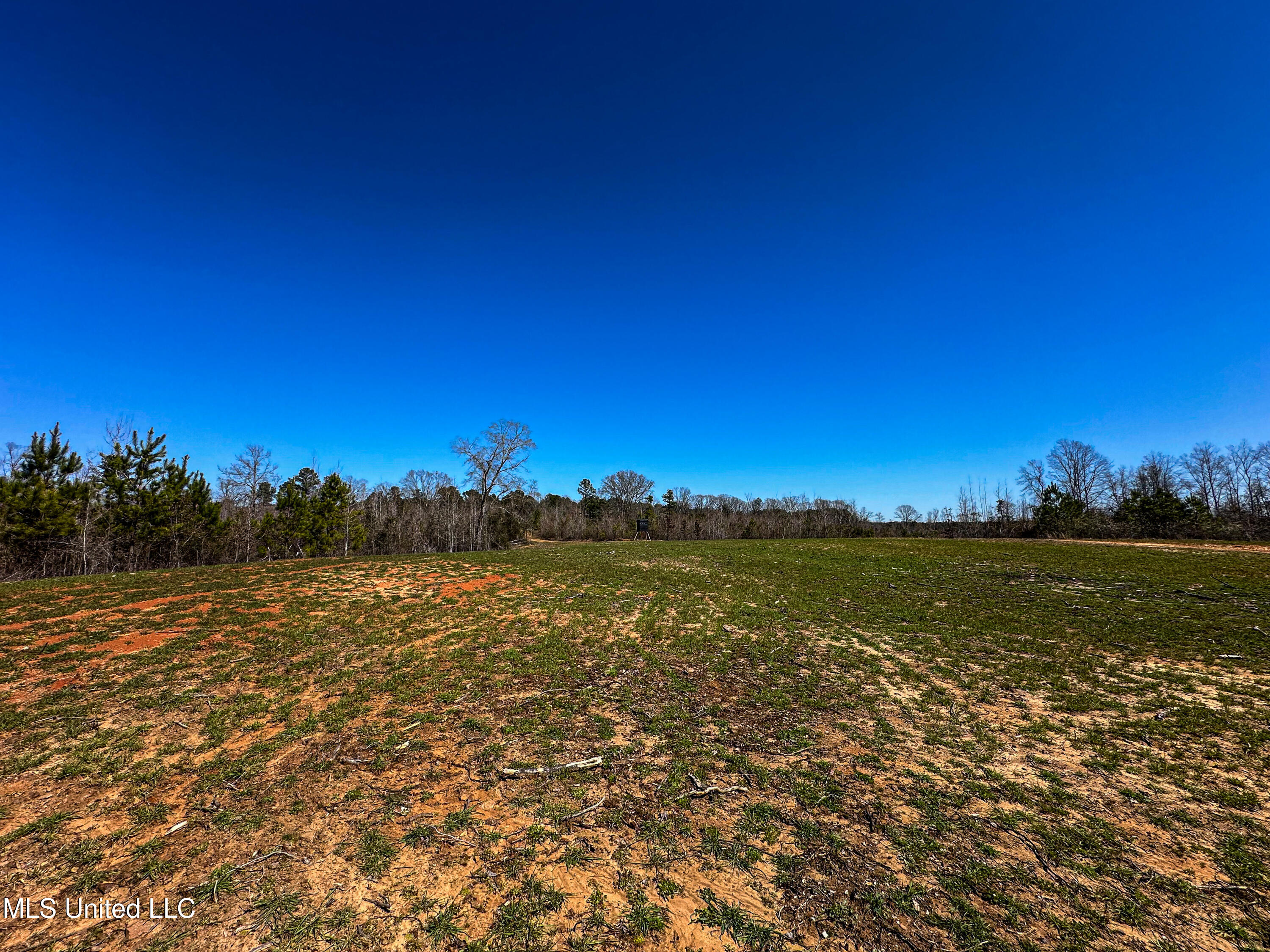 001 Hwy 15 South, Noxapater, Mississippi image 42