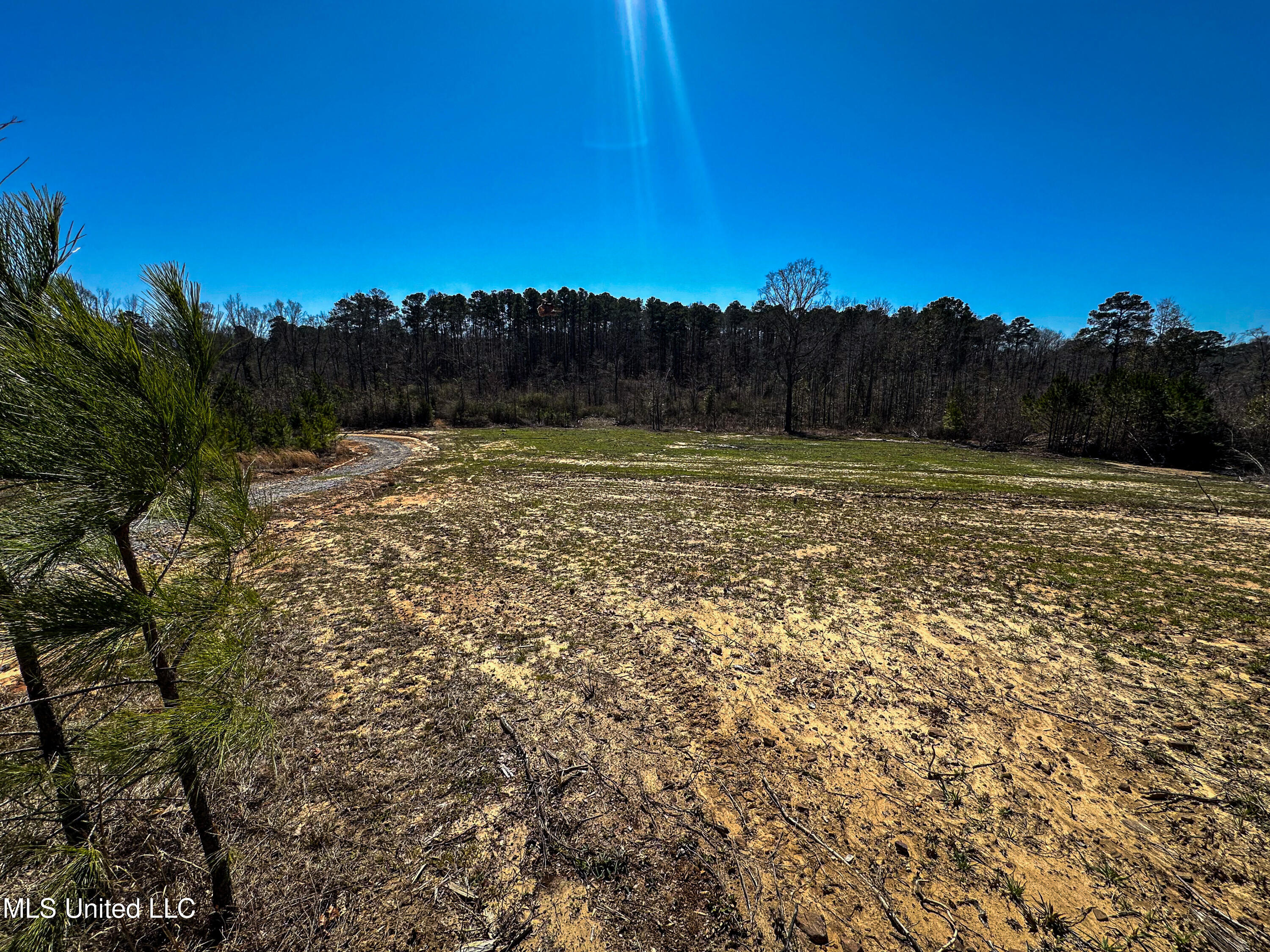 001 Hwy 15 South, Noxapater, Mississippi image 36