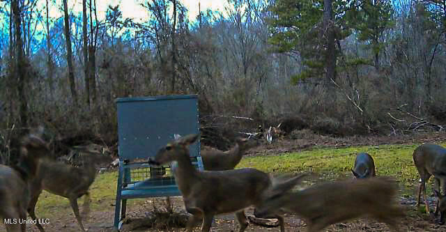 001 Hwy 15 South, Noxapater, Mississippi image 11