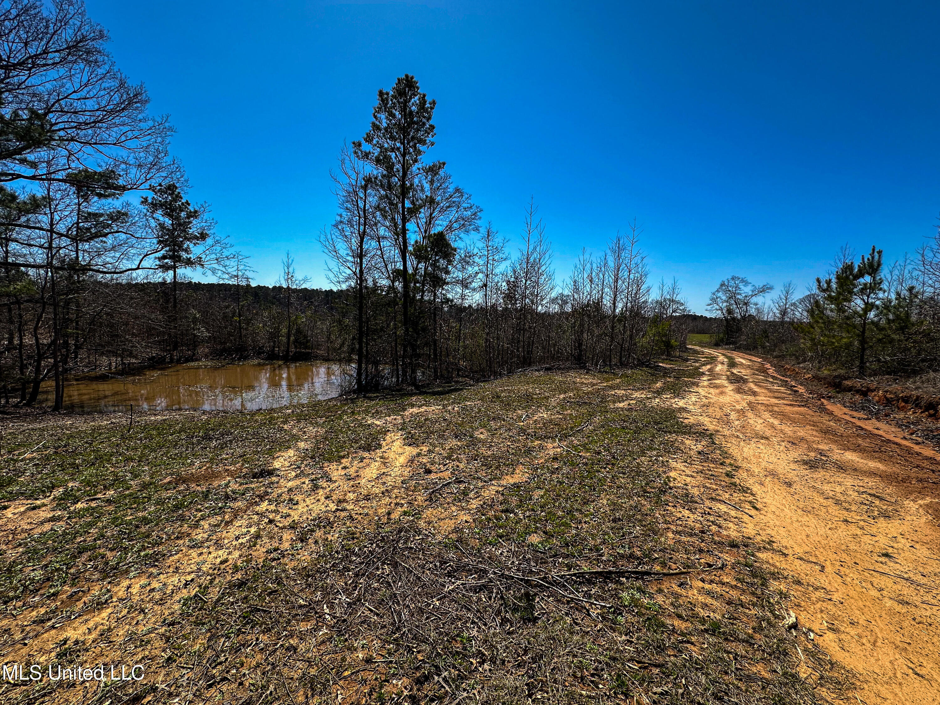 001 Hwy 15 South, Noxapater, Mississippi image 39