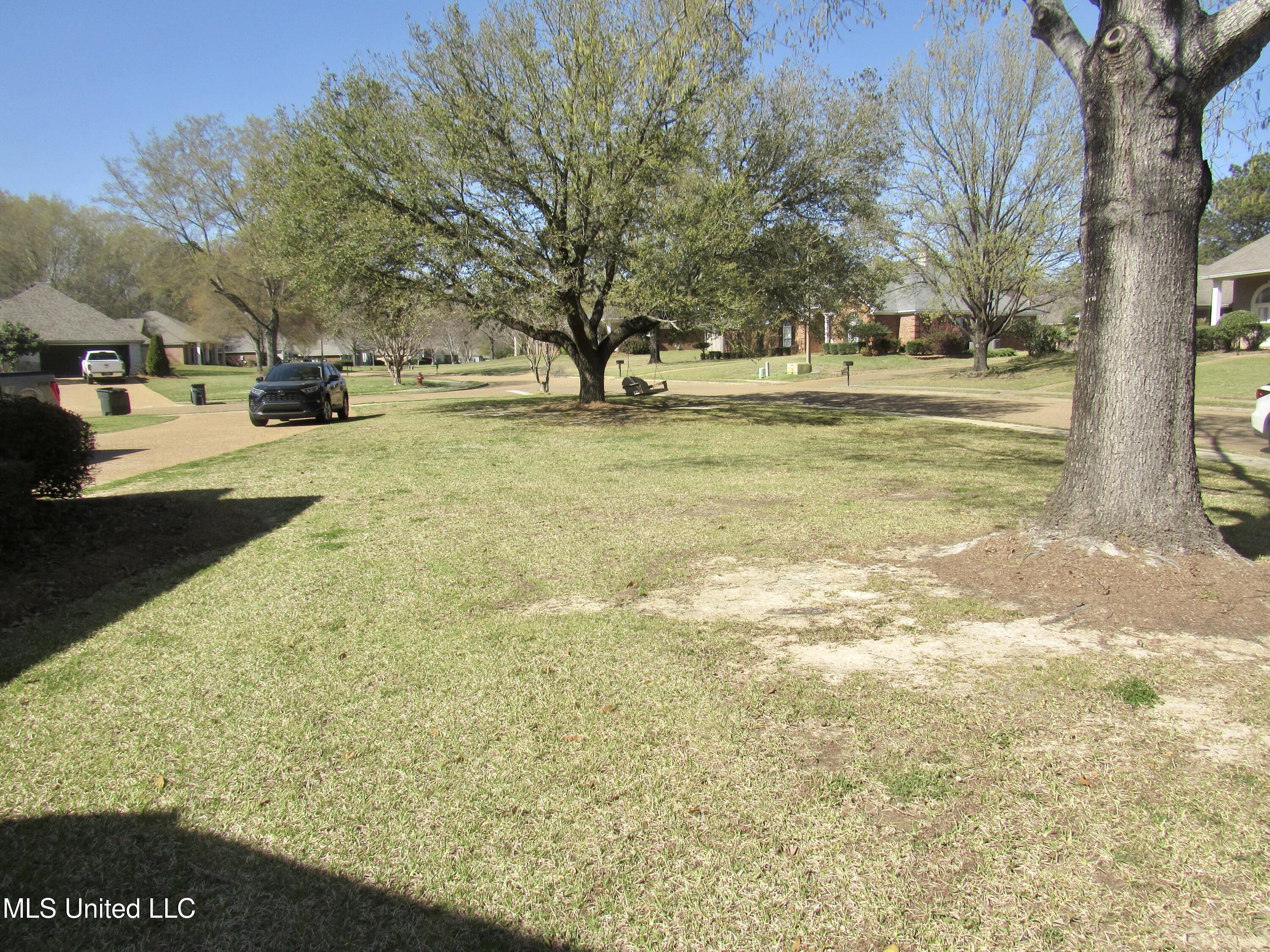 103 Bayberry Lane, Madison, Mississippi image 4