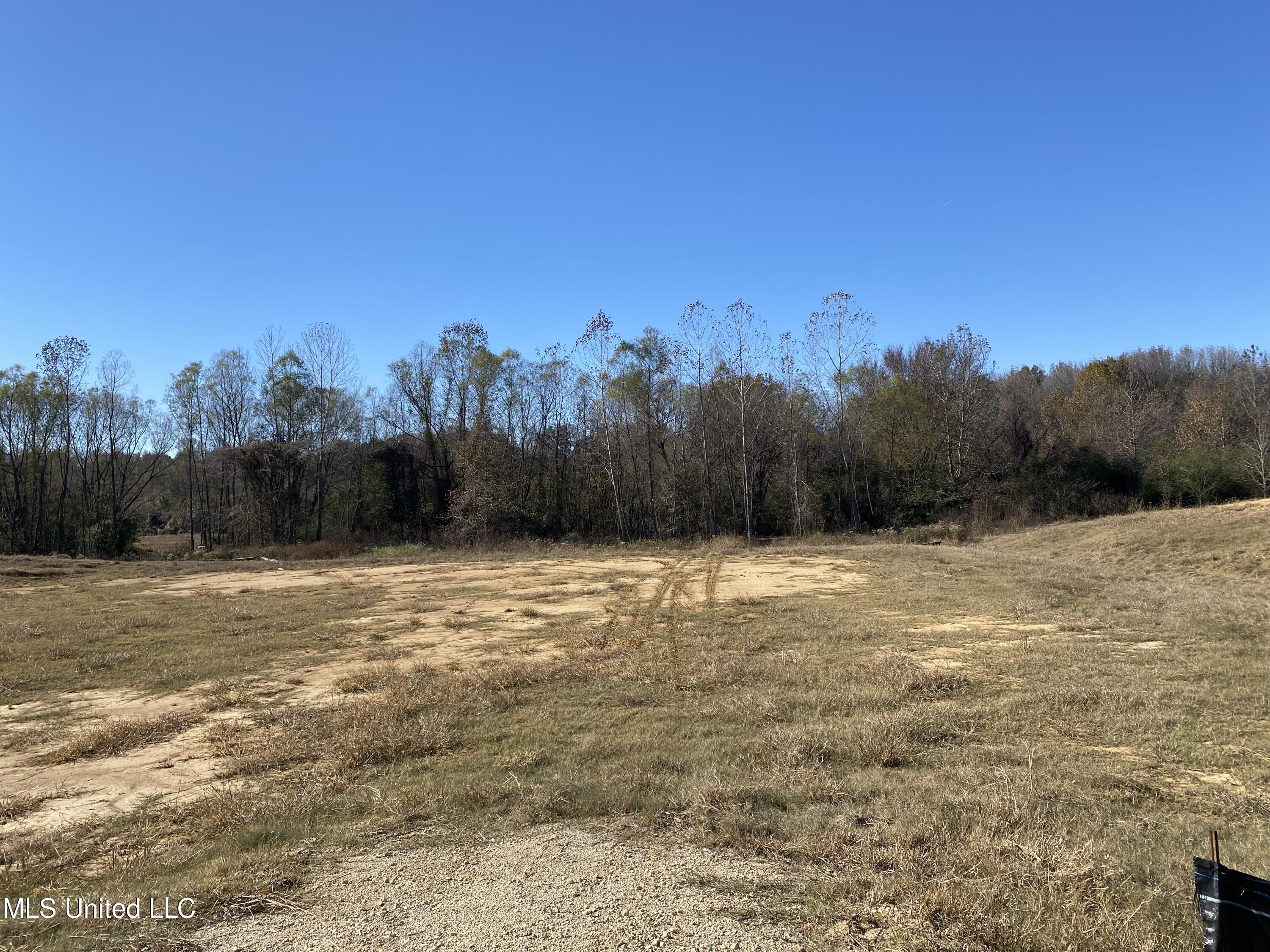 6 Highland Meadows Minor Lot, Hernando, Mississippi image 1