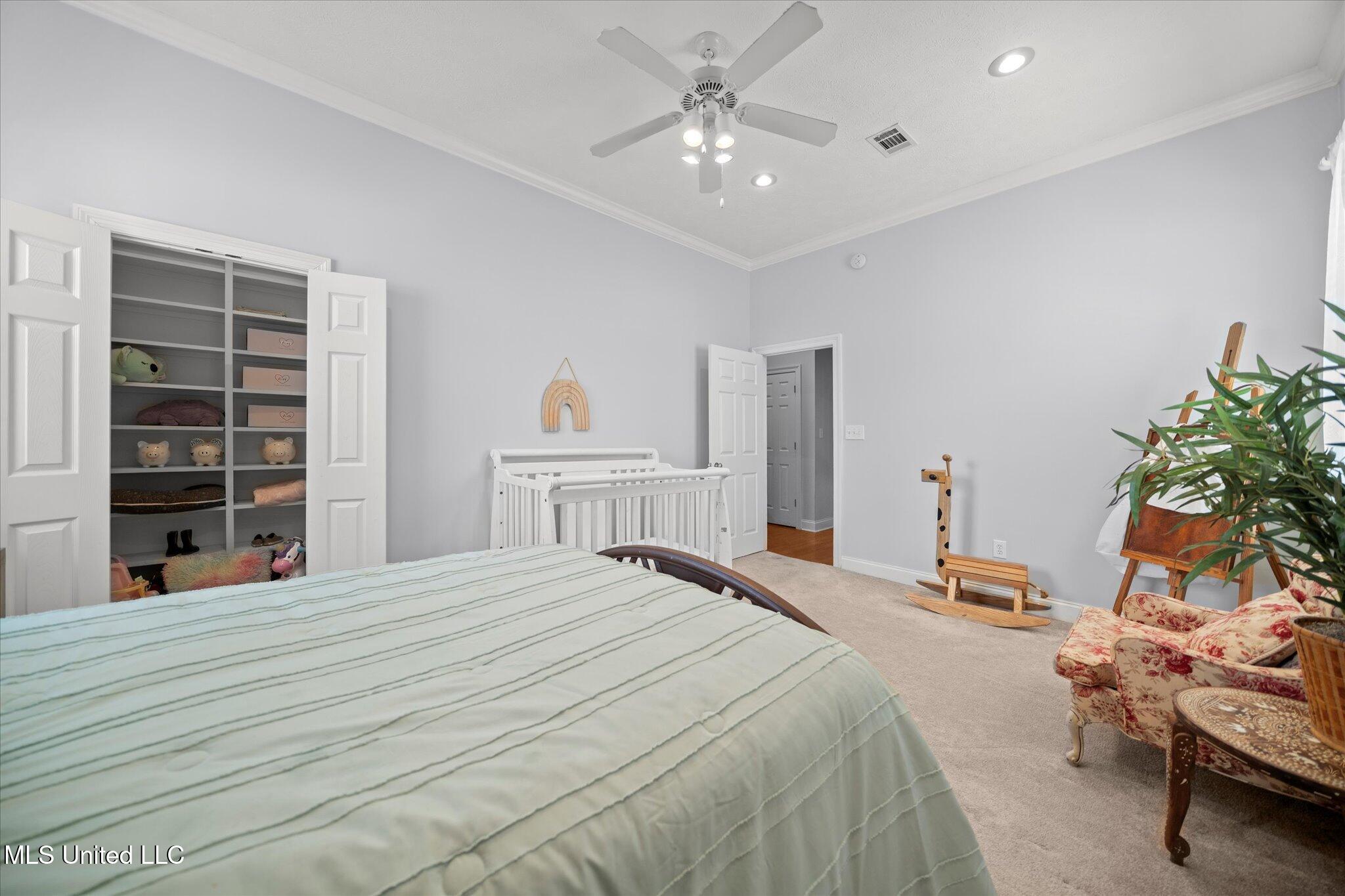 25 Savannah Circle, Brandon, Mississippi image 23