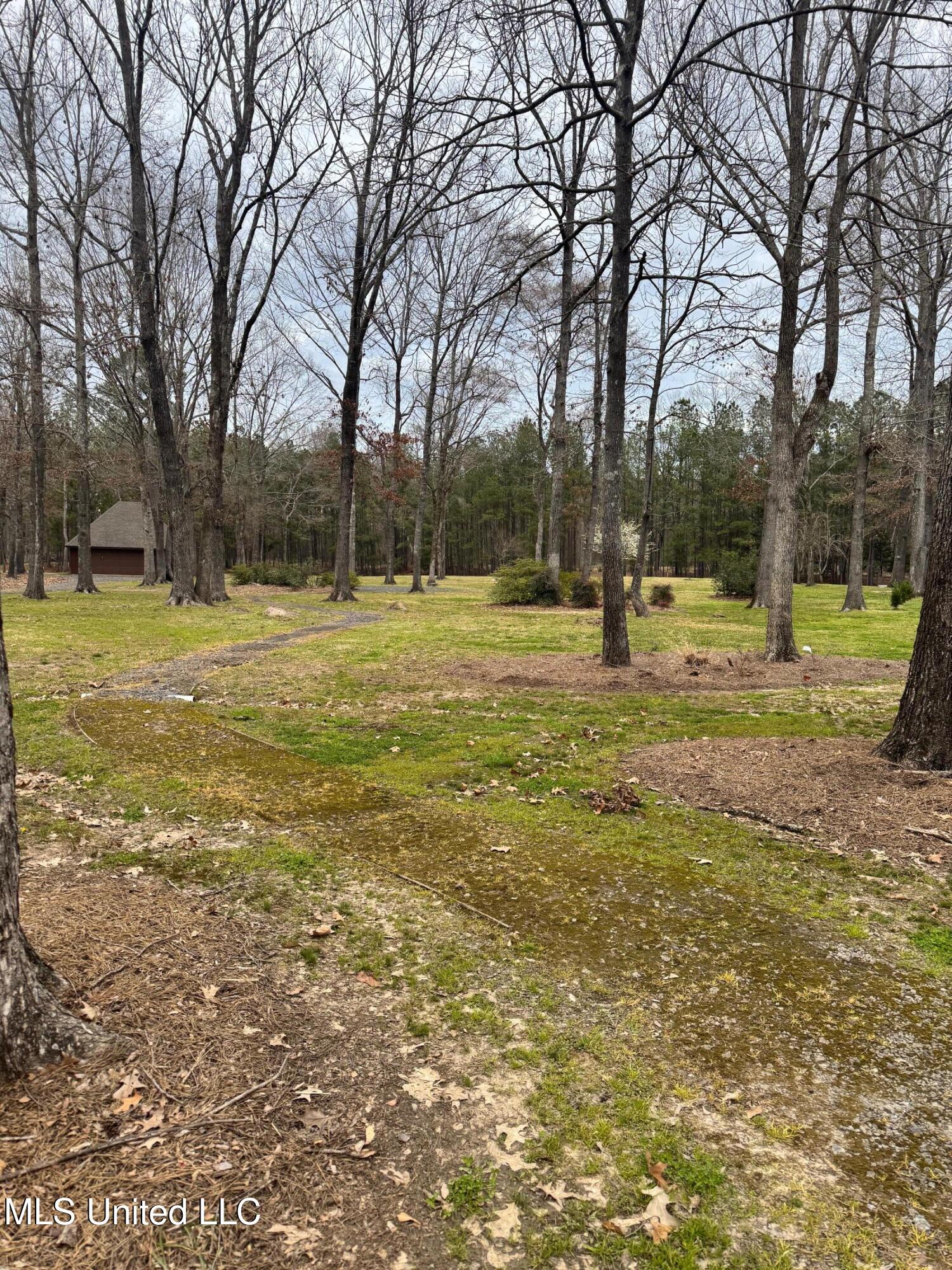 Fountains Cove, Brandon, Mississippi image 4