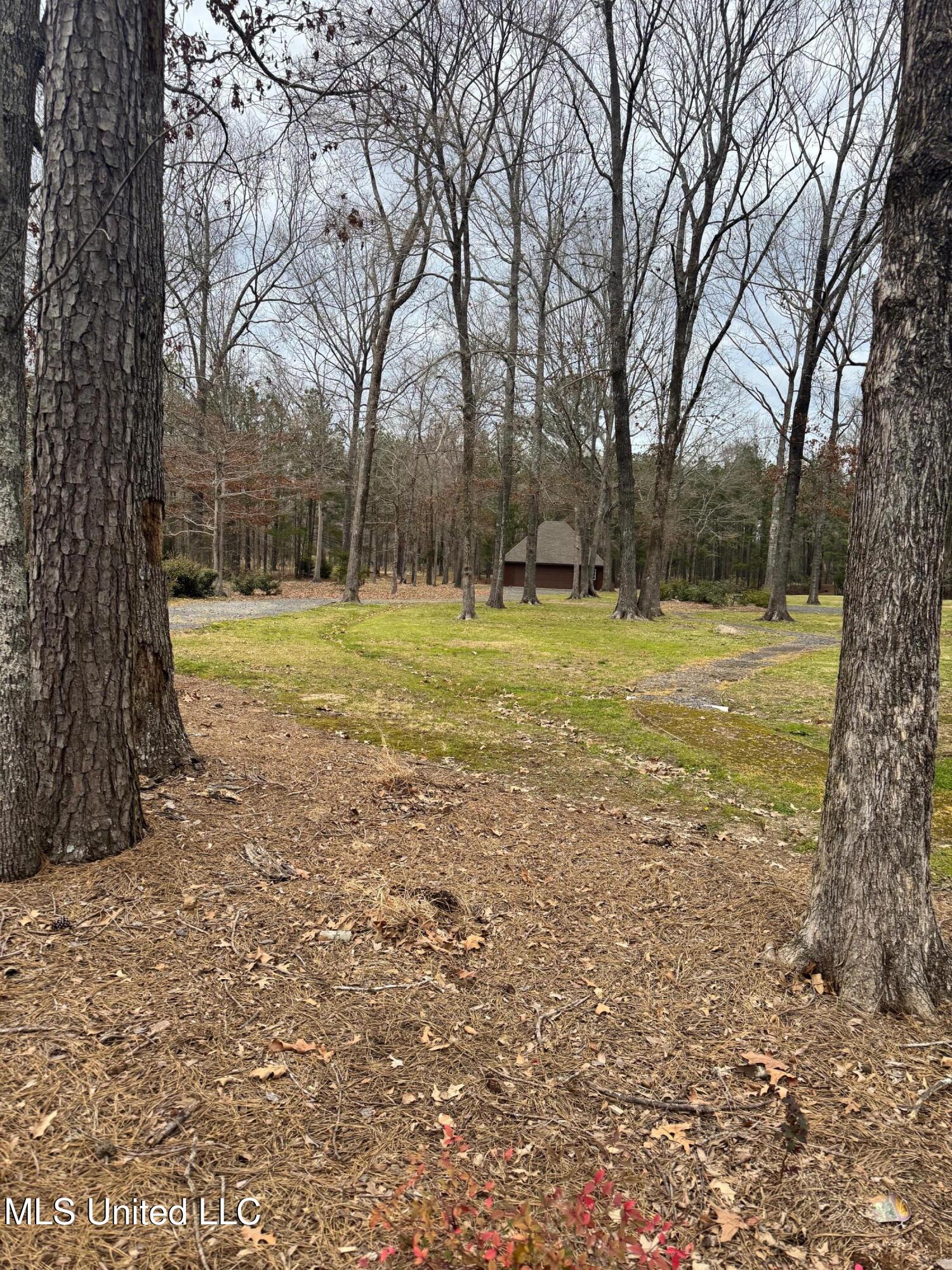 Fountains Cove, Brandon, Mississippi image 2