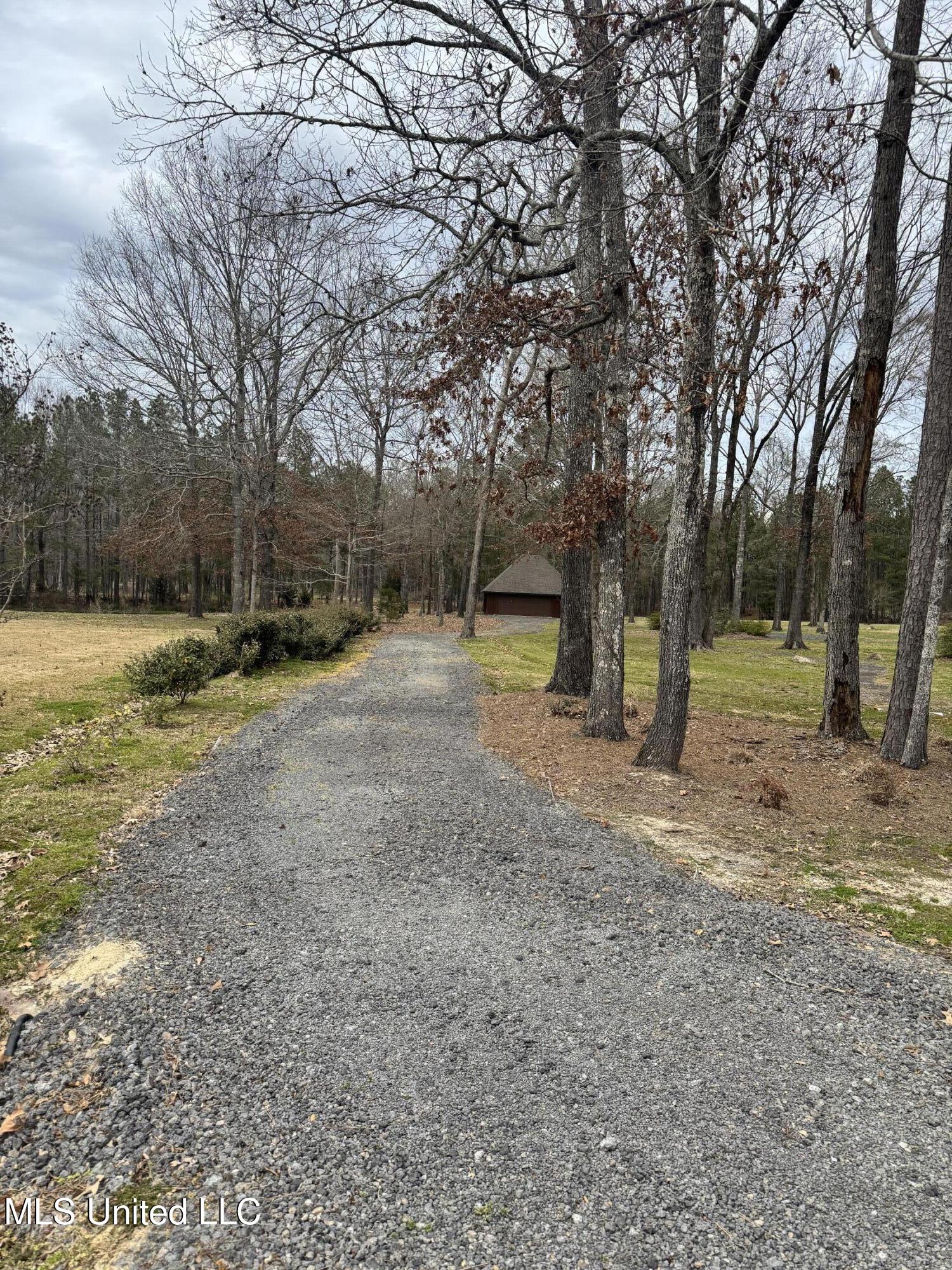 Fountains Cove, Brandon, Mississippi image 1