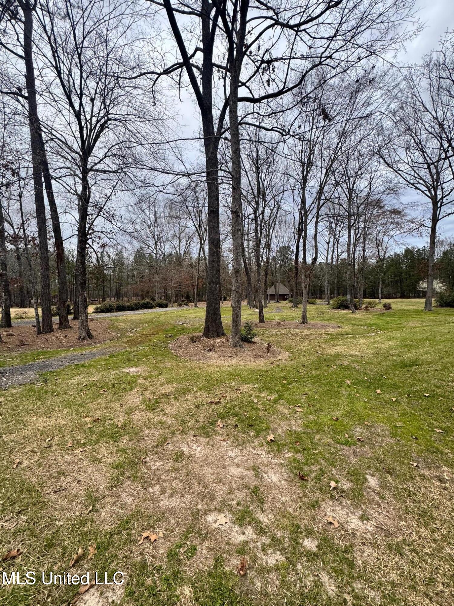 Fountains Cove, Brandon, Mississippi image 3