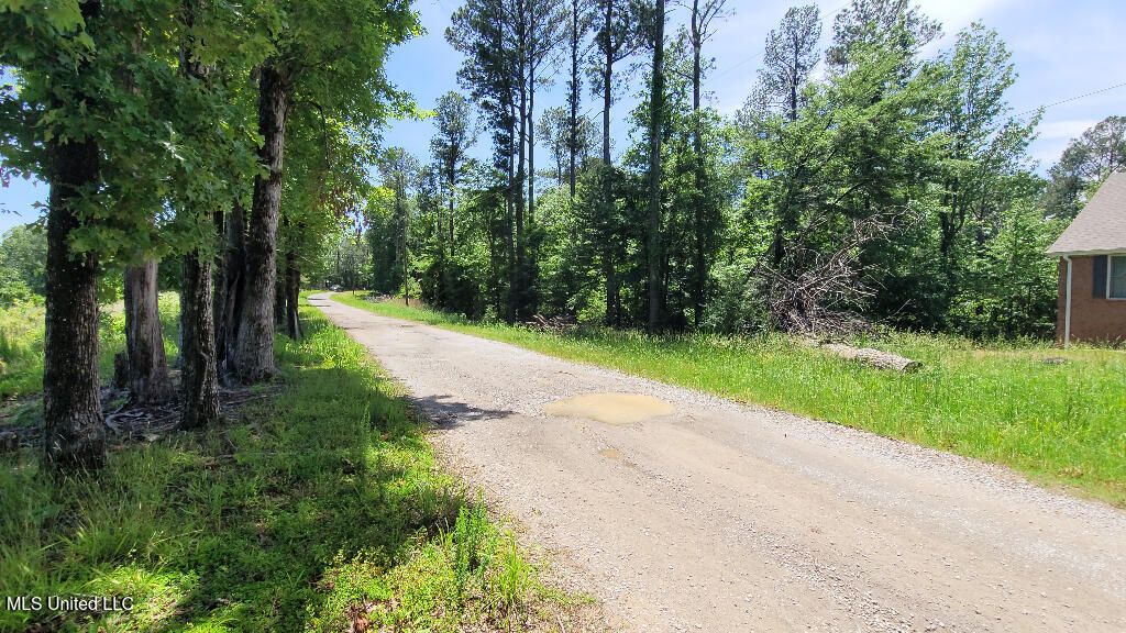 Rowsey Road, Water Valley, Mississippi image 8