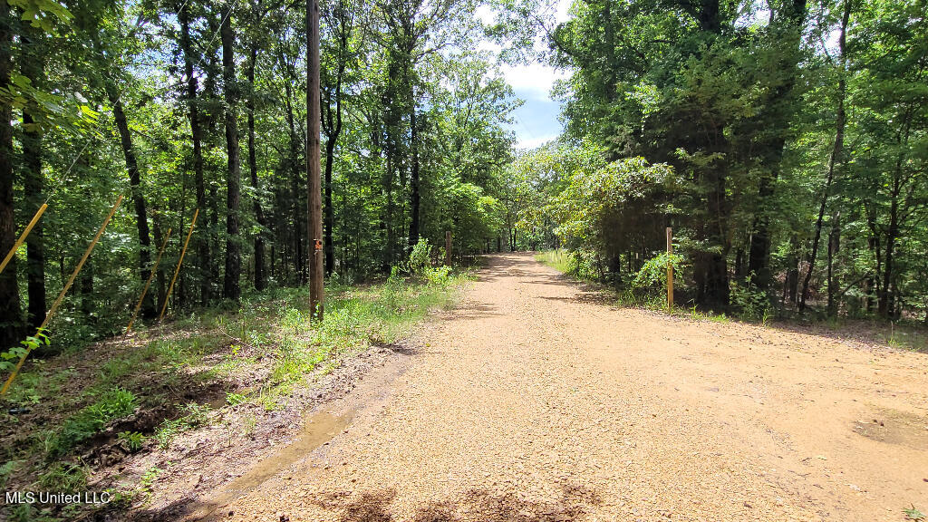 Rowsey Road, Water Valley, Mississippi image 7