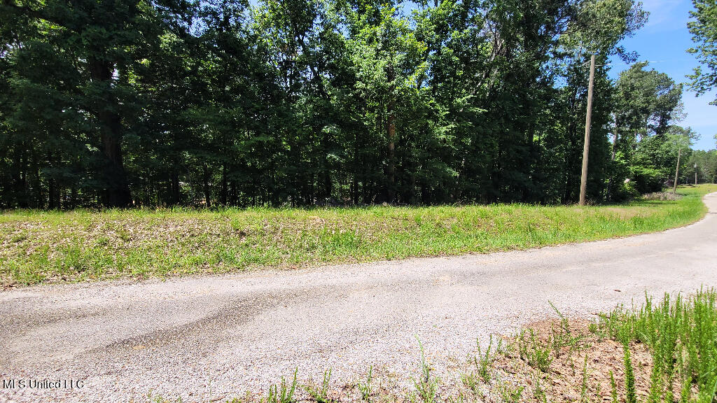 Rowsey Road, Water Valley, Mississippi image 15