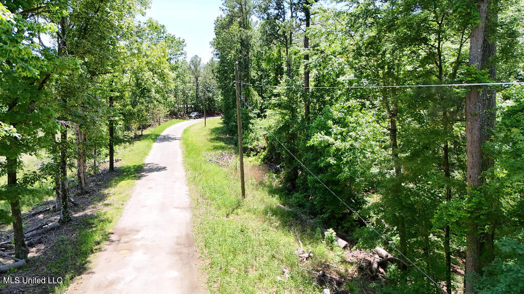Rowsey Road, Water Valley, Mississippi image 6