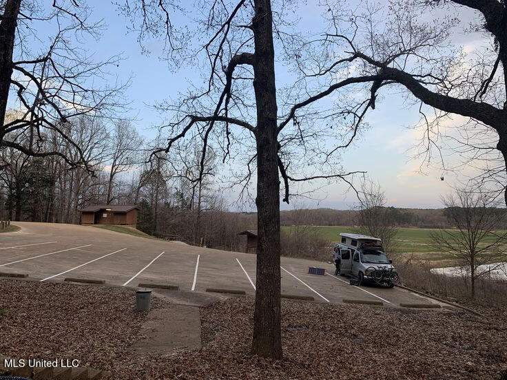 Rowsey Road, Water Valley, Mississippi image 21