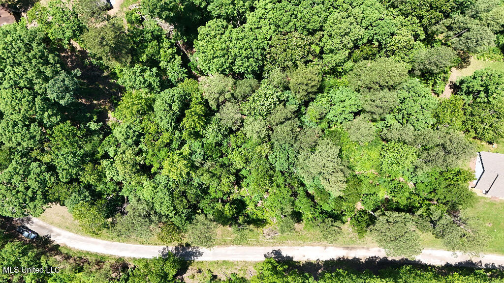 Rowsey Road, Water Valley, Mississippi image 16