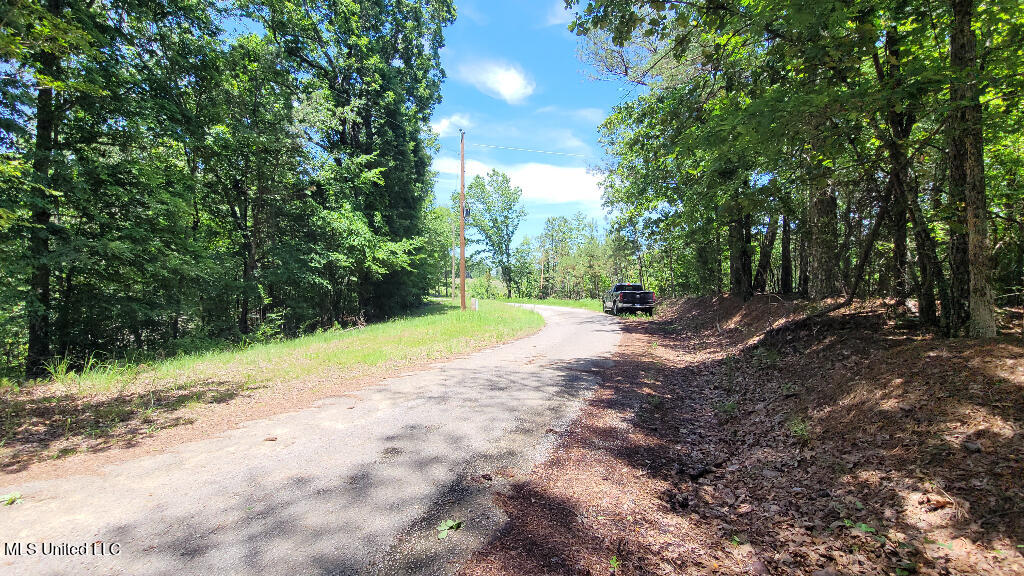 Rowsey Road, Water Valley, Mississippi image 9