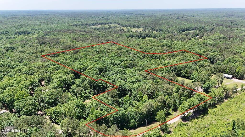 Rowsey Road, Water Valley, Mississippi image 2