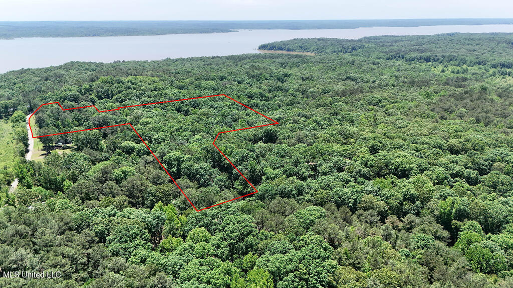 Rowsey Road, Water Valley, Mississippi image 1