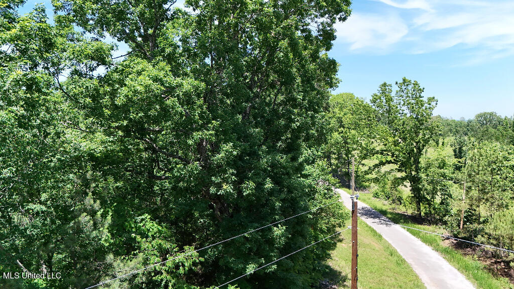 Rowsey Road, Water Valley, Mississippi image 20